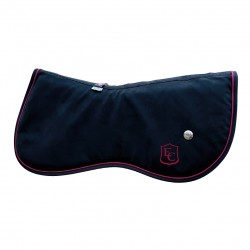 Amortisseur Les Ecuries du...